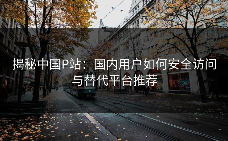 揭秘中国P站：国内用户如何安全访问与替代平台推荐