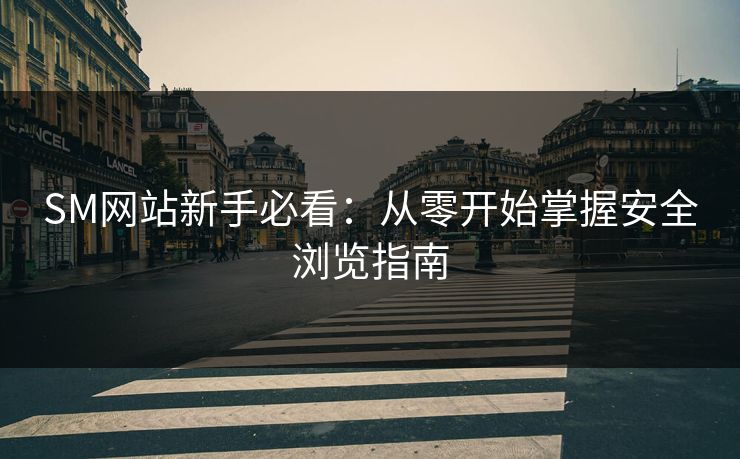 SM网站新手必看：从零开始掌握安全浏览指南