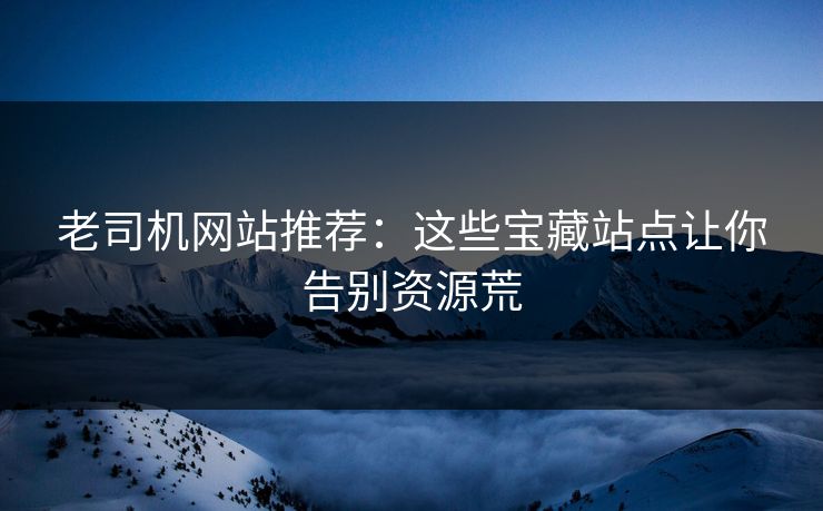 老司机网站推荐：这些宝藏站点让你告别资源荒