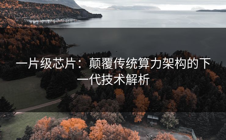 一片级芯片：颠覆传统算力架构的下一代技术解析