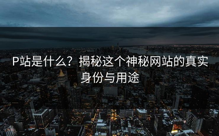 P站是什么？揭秘这个神秘网站的真实身份与用途