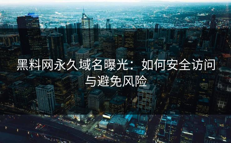 黑料网永久域名曝光：如何安全访问与避免风险
