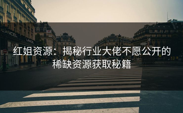 红姐资源：揭秘行业大佬不愿公开的稀缺资源获取秘籍