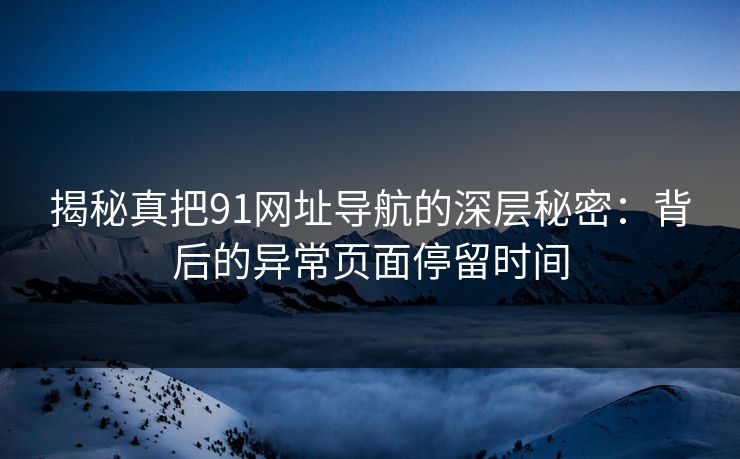 揭秘真把91网址导航的深层秘密：背后的异常页面停留时间  第1张